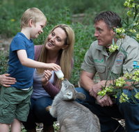 Tamworth Marsupial Park and Adventure Playground - Accommodation Georgetown