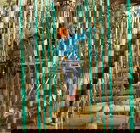 Trees Adventure Yeodene Park - Accommodation Georgetown