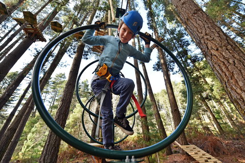 Trees Adventure Yeodene Park - Accommodation Georgetown 1