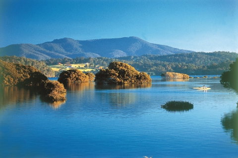 Wagonga Picnic Area - Accommodation Georgetown 0