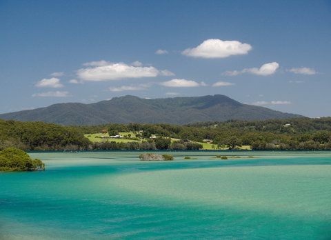 Wagonga Picnic Area - Accommodation Georgetown 1