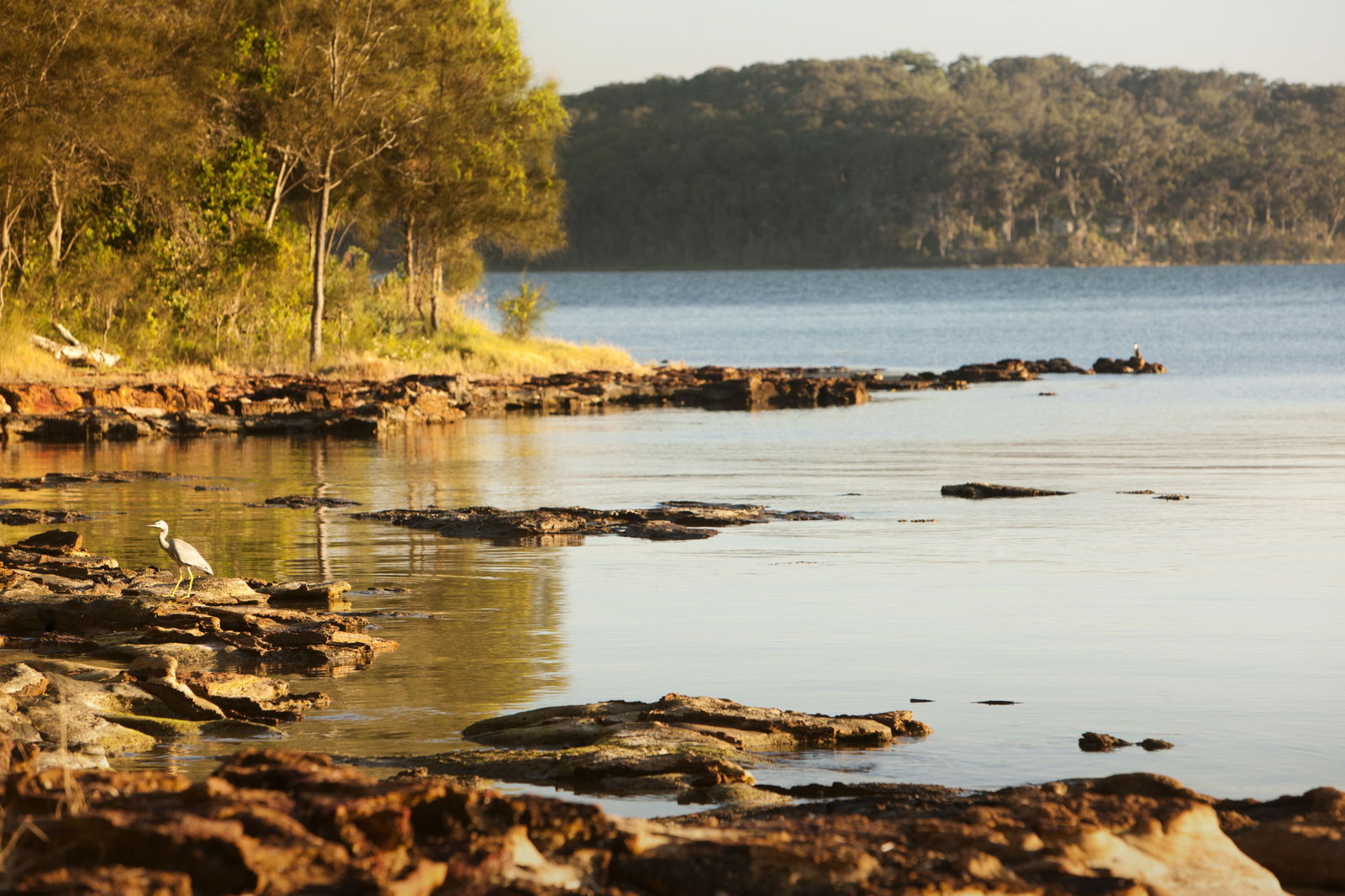 Wangi Wangi NSW Accommodation Georgetown