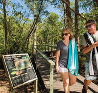Wangi Falls - Accommodation Georgetown