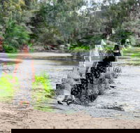 Warrandyte River Reserve - Accommodation Georgetown