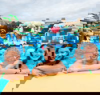 Waterworld Central - Mobile Inflatable Waterpark - Accommodation Georgetown