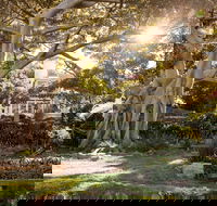 Wendy Whiteley's Secret Garden - Accommodation Georgetown