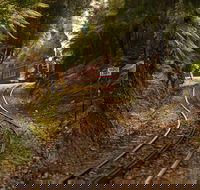 West Coast - Accommodation Georgetown