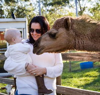 White Ridge Farm - Accommodation Georgetown