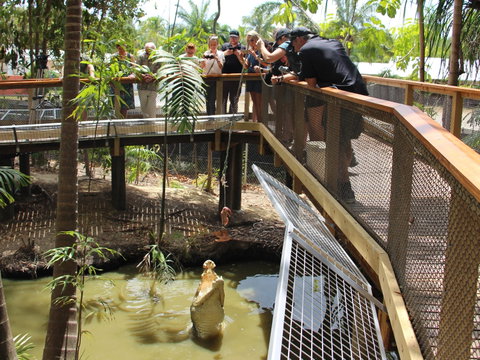 Wildlife Habitat - Accommodation Georgetown 2