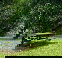 Williams River picnic area - Accommodation Georgetown