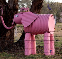 Animals on Bikes - Accommodation Georgetown