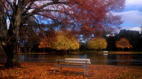 Bells Parade Reserve - Accommodation Georgetown 0