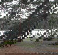 Big Brook Arboretum - Accommodation Georgetown