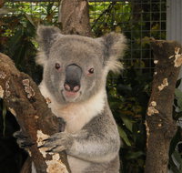 Birdland Animal Park - Accommodation Georgetown