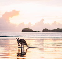 Cape Hillsborough  A Low Tide Fishing Adventure - Accommodation Georgetown