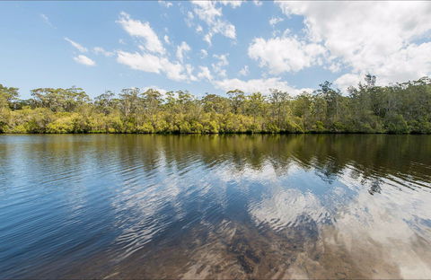 Cockatoo Picnic Area - Accommodation Georgetown 0