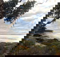 Fish Cannery Walking Trail - Accommodation Georgetown