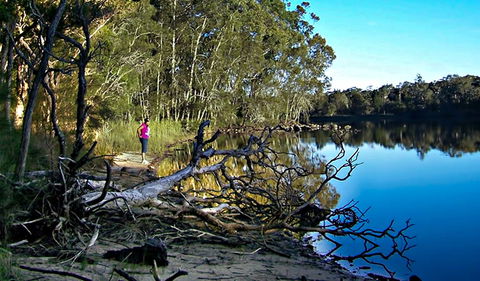 Five Islands Walking Track - Accommodation Georgetown 0