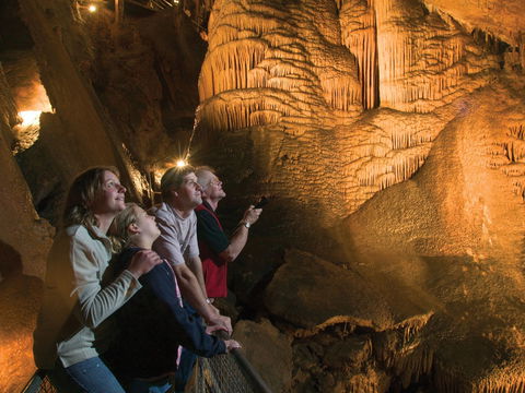 Gunns Plains Caves - Accommodation Georgetown 0