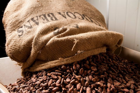 Haigh's Chocolates Visitor Centre - Accommodation Georgetown 2