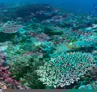 Hanging Rock Dive Site - Accommodation Georgetown