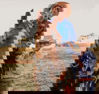 Katherine Outback Experience - Horse Riding Experience - Accommodation Georgetown