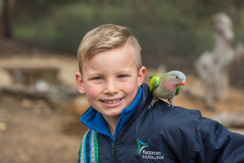 Kyabram Fauna Park - Accommodation Georgetown 2