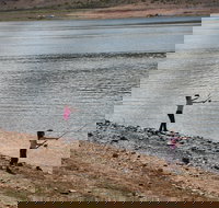 Lake Wyangala - Accommodation Georgetown