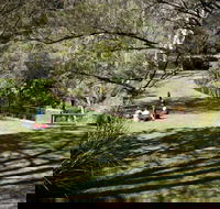 Leura Cascades picnic area - Accommodation Georgetown