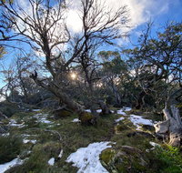 Mount Torbreck Summit Walk