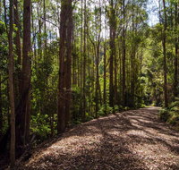 Myrtle Scrub Scenic Drive - Accommodation Georgetown
