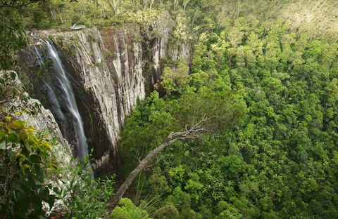 Nightcap National Park - Accommodation Georgetown 0