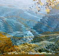 Point Lookout Walking Track - Accommodation Georgetown