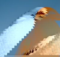 Port Phillip Heads Marine National Park