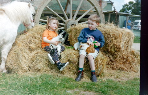 Rain Hayne And Shine Farmyard - Accommodation Georgetown 0