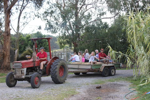 Rain Hayne And Shine Farmyard - Accommodation Georgetown 1