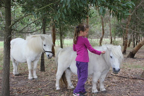 Rain Hayne And Shine Farmyard - Accommodation Georgetown 2
