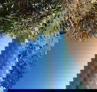 Richmond Valley Cultural Heritage Self Drive Tour - Accommodation Georgetown