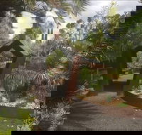 Roraima Nursery and Cafe - Accommodation Georgetown