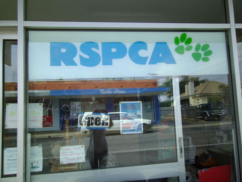 R.S.P.C.A Opportunity Shop - Accommodation Georgetown 0