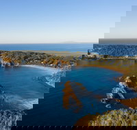 Snorkelling Guerilla Bay - Accommodation Georgetown