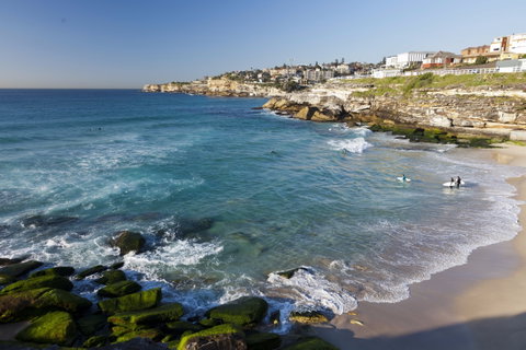 Tamarama Beach - Accommodation Georgetown 1