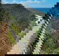 The Coast Walking Track - Accommodation Georgetown