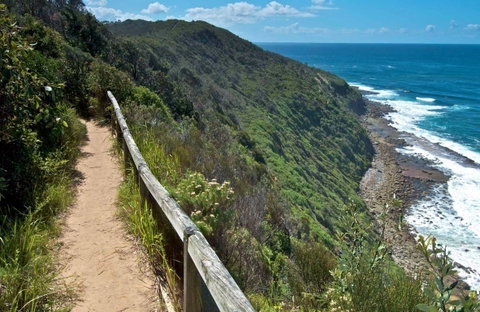 The Coast Walking Track - Accommodation Georgetown 0
