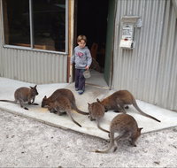 The Patriarch Wildlife Sanctuary - Accommodation Georgetown