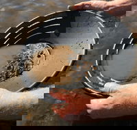 Tuena Panning for Gold - Accommodation Georgetown