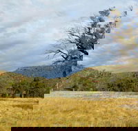 Weddin Mountains National Park - Accommodation Georgetown