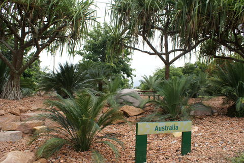 Anderson Park Botanic Gardens - Accommodation Georgetown 2