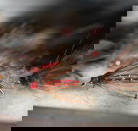 Australian Fly Fishing Museum - Accommodation Georgetown