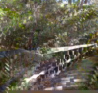 Awaba Bay Foreshore Walk - Accommodation Georgetown